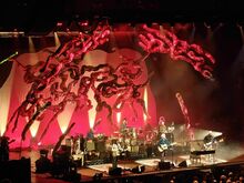 Crowded House / Vera Ellen on Dec 10, 2024 [656-small]