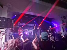 [Spunge] / 4ft Fingers / Johnny Clash on Dec 14, 2024 [082-small]