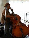Jazz Cats on Jun 20, 2016 [333-small]