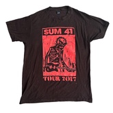 Sum 41 on Feb 4, 2017 [016-small]