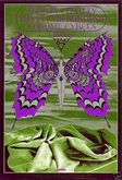 Iron Butterfly / Velvet Underground / Chrome Cyrcus on Jun 9, 1968 [079-small]