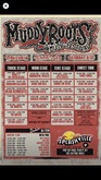 Muddy Roots Music Festival on Aug 31, 2019 [463-small]
