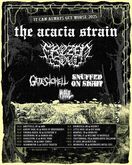The Acacia Strain / Frozen Soul / Gates to Hell / Your Spirit Dies / Maul on May 10, 2025 [149-small]