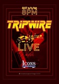 Tripwire on Feb 1, 2025 [131-small]