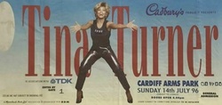 Tina Turner / Steve Lukather / Toto on Jul 14, 1996 [113-small]