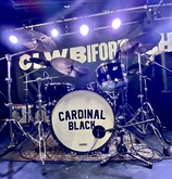 Cardinal Black on Oct 30, 2022 [749-small]