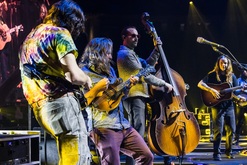Billy Strings on Jan 26, 2025 [529-small]
