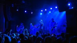 Fiddlehead / Glare / Prize Horse / Pet Fox / Linda Claire (Fleshwater) on Jan 31, 2025 [603-small]