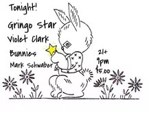 Gringo Star / Violet Clark / The Bunnies / Mark Schwaber on Nov 11, 2013 [888-small]
