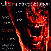 Bag Lady / Aunts / Illicify on Mar 28, 2025 [518-small]