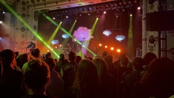 This Wild Life / Belmont / Young Culture on Mar 7, 2025 [721-small]
