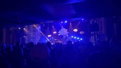 This Wild Life / Belmont / Young Culture on Mar 7, 2025 [725-small]