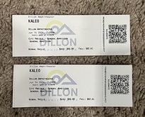 Kaleo / Vincent Lima on Jun 14, 2024 [310-small]