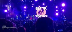 Festival Estereo Picnic 2022 on Mar 25, 2022 [568-small]