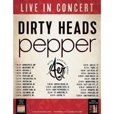 Dirty Heads / Pepper / AER on Jul 25, 2014 [597-small]