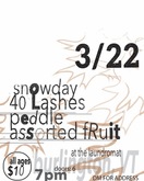 Snowday / 40 Lashes / Peddle / Assorted Fruit on Mar 22, 2025 [230-small]