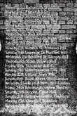 Jethro Tull / Tir Na Nog on Mar 24, 1972 [486-small]