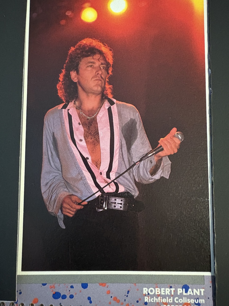 Joan Jett \u0026 The Blackhearts's 1988 Concert \u0026 Tour History | Concert Archives, image size:900x1200