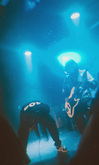 Graphic Nature / Swarmed / Face The Wolves on Jul 17, 2024 [458-small]