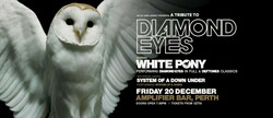Whitepony (perth Deftones tribute) / System of a Downunder (Perth tribute band) on Dec 20, 2024 [310-small]
