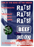 Rats! Rats! Rats! (UK) / Beef / Pub Dog on Apr 10, 2025 [319-small]