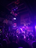 Neon Trees / Night Cap on Apr 4, 2025 [151-small]