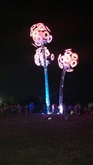 Nocturnal Wonderland on Apr 28, 2012 [430-small]