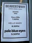 Pale Blue Eyes / Hello Mary / Dove Ellis on Sep 3, 2024 [256-small]