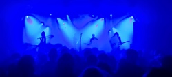 The Haunted Youth / Calicos (BE) on Dec 15, 2023 [357-small]