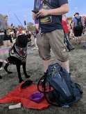 Riot Fest 2024 on Sep 20, 2024 [442-small]