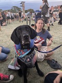 Riot Fest 2024 on Sep 20, 2024 [444-small]