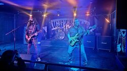 Molly Karloff / XII Doors / To Nowhere on Jan 24, 2025 [750-small]