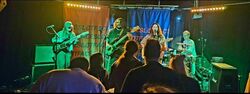 SLØTFACE / SUDS (UK) on Sep 29, 2024 [984-small]