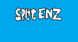 Split Enz / Evermore on Jul 17, 2006 [991-small]