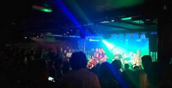 The Vaccines / The 900 on Aug 29, 2024 [013-small]