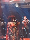 Michelle David & The True-tones on Dec 23, 2022 [281-small]