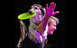 Mutts Gone Nuts (Cast) on Nov 13, 2022 [019-small]