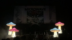Mayday Parade / Microwave / Grayscale / Like Roses on Apr 28, 2025 [865-small]