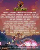 Glastonbury Festival on Jun 25, 2025 [487-small]