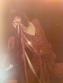 Aerosmith / Rory Gallagher / Derringer on Aug 6, 1976 [728-small]