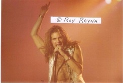Van Halen on Nov 22, 1978 [169-small]