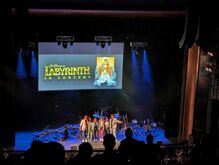 Jim Henson’s Labyrinth: In Concert on May 3, 2025 [879-small]