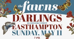 The Fawns on May 11, 2025 [655-small]