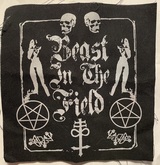 Beast in the Field / Hellmouth on May 2, 2015 [821-small]
