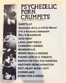 Psychedelic Porn Crumpets / Grocery Bag on May 7, 2025 [818-small]