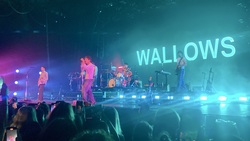 Wallows / grentperez on Dec 9, 2024 [724-small]