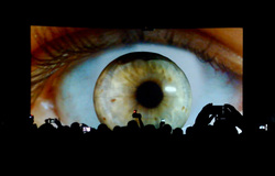 DJ Shadow / Pigeon John on Nov 16, 2010 [808-small]