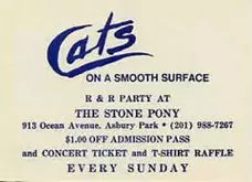 Cats on a Smooth Surface / Bruce Springsteen on Mar 2, 1982 [826-small]