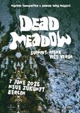 Dead Meadow / Menk / Vice Versa on Jun 7, 2025 [864-small]