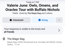Valerie June / Buffalo Nichols on May 27, 2025 [174-small]